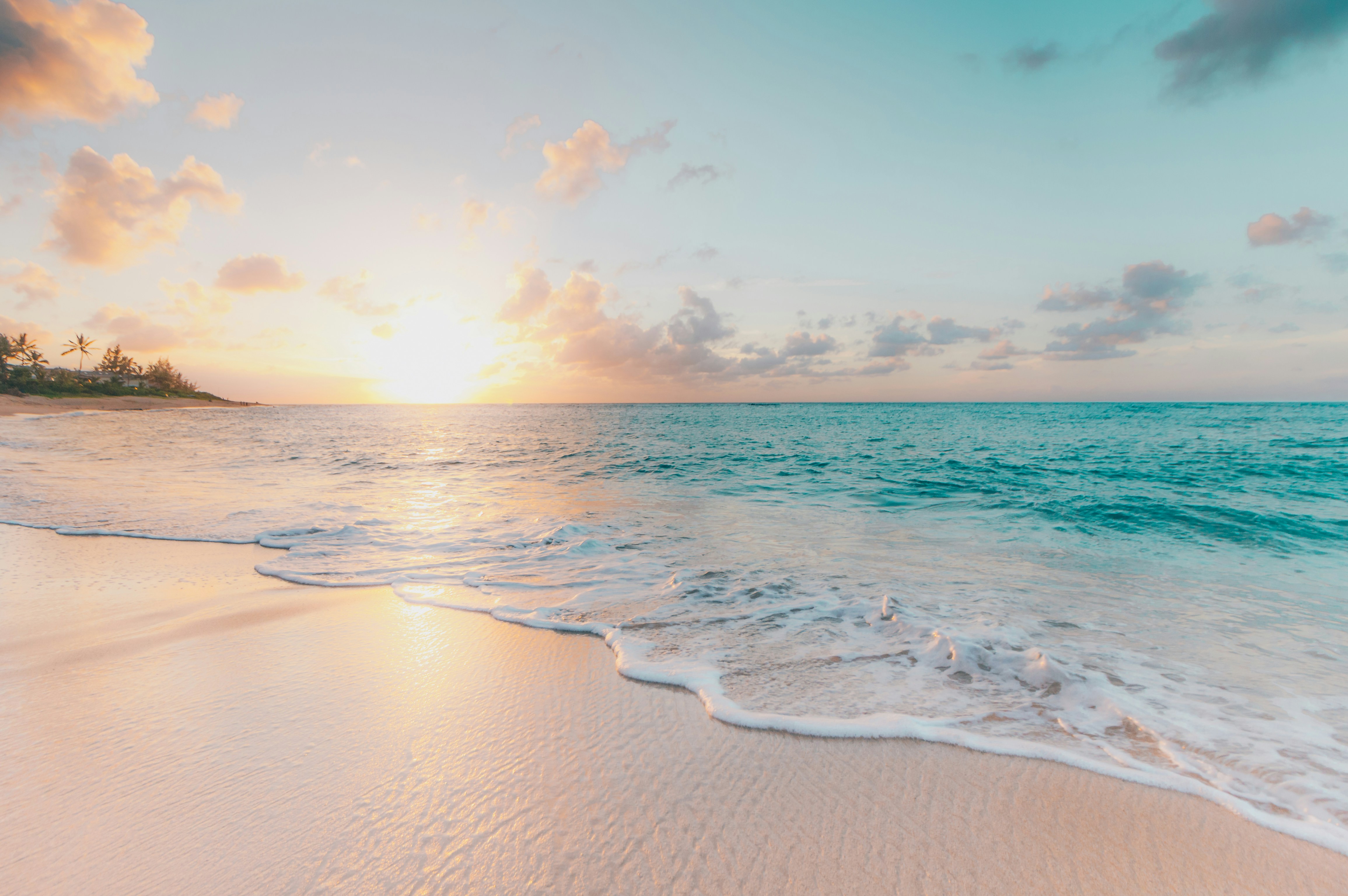 Clean ocean and wildlife